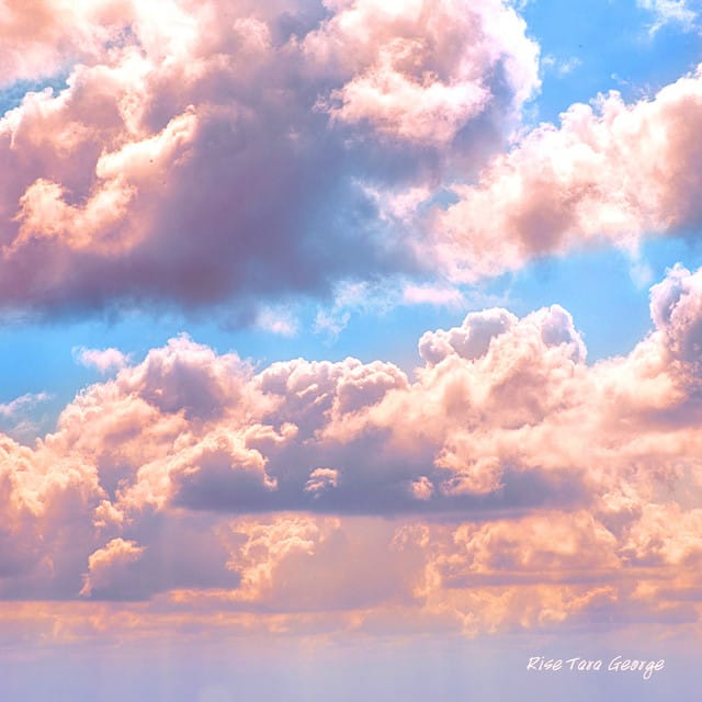 Rise - Single