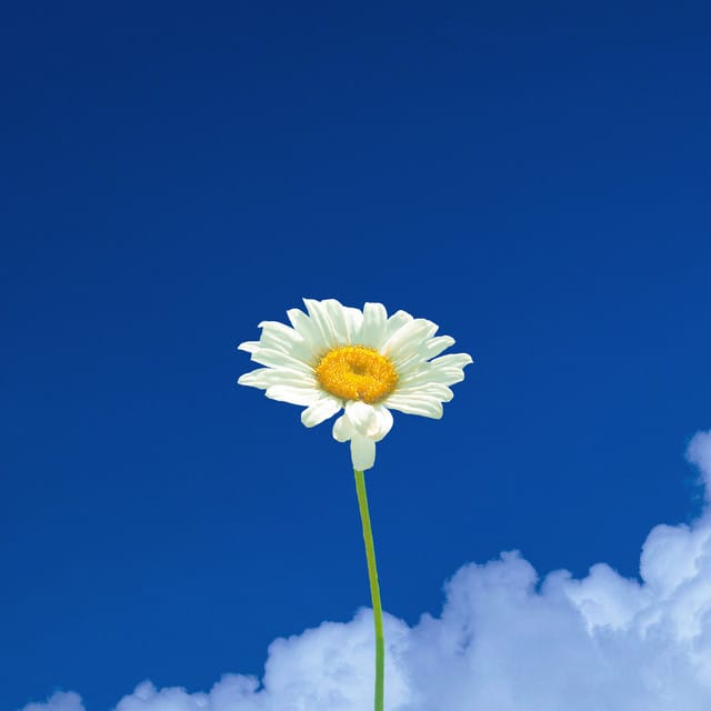Beautiful Day