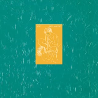 Skylarking