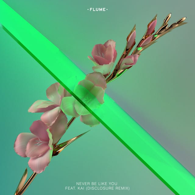 Never Be Like You [Disclosure Remix]