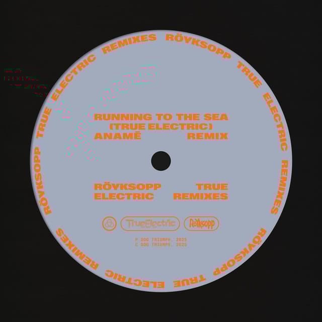 Running To The Sea (anamē Remix)