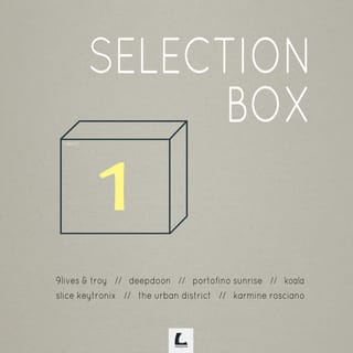 Selection Box 1