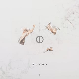 Echos