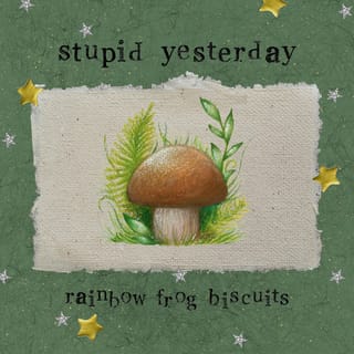 Stupid Yesterday