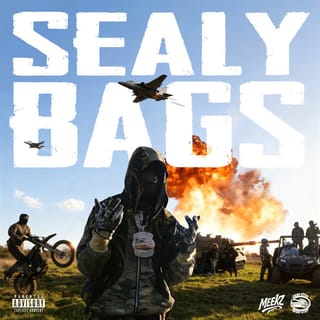 Sealy Bags