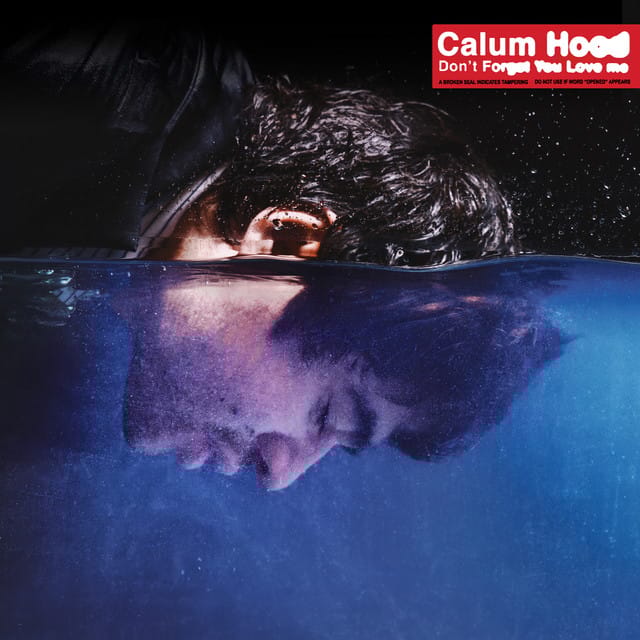 Don't Forget You Love Me