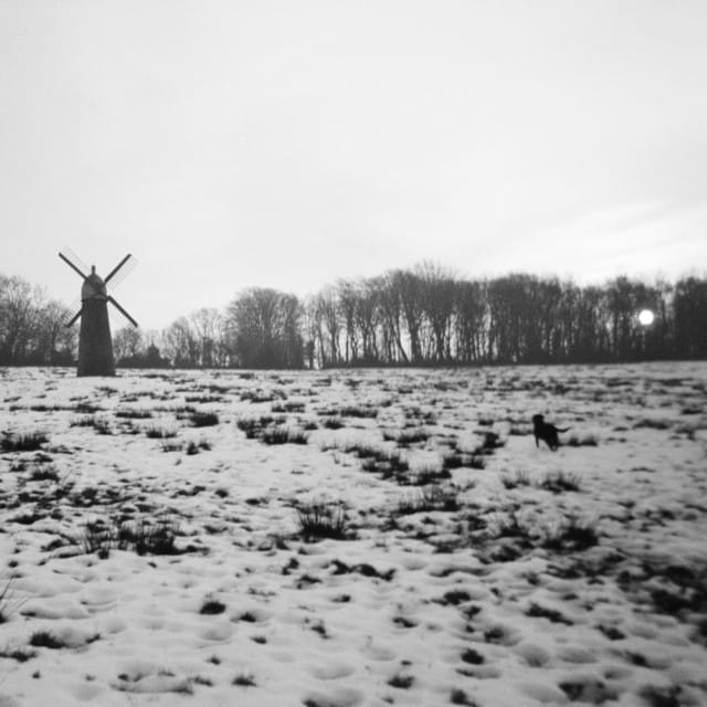 Milsbeek - Single