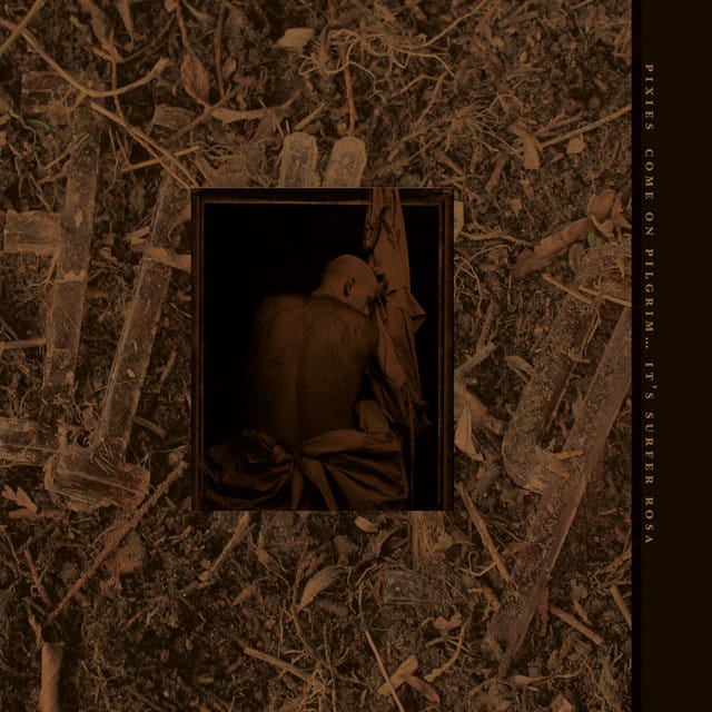 Live from the Fallout Shelter