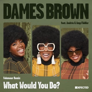 What Would You Do? (feat. Andrés & Amp Fiddler) [Folamour Remix]