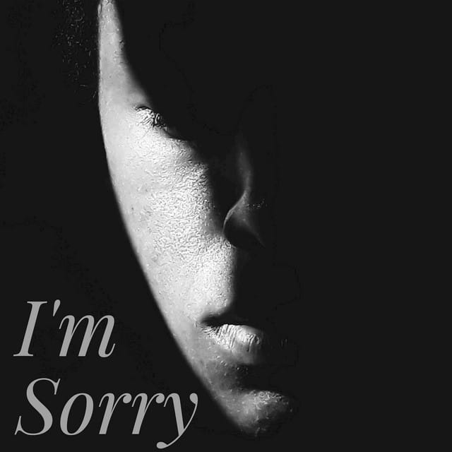 I'm Sorry - Single