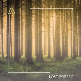 Lost Forest - EP