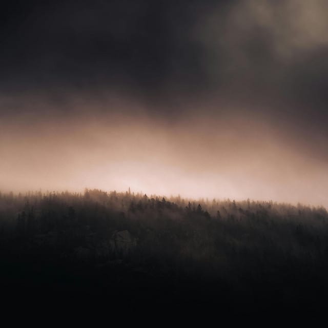 Promise - Single
