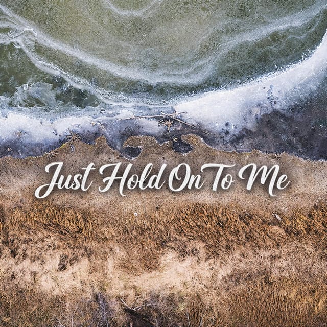 Just Hold On To Me - Single