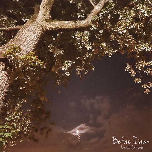 Before Dawn - Single