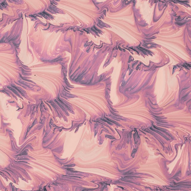 Sasanqua