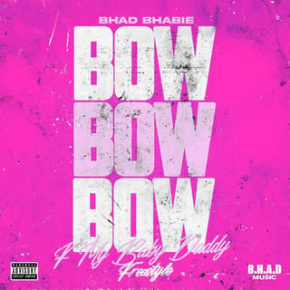 Bow Bow Bow (F My Baby Daddy Freestyle)