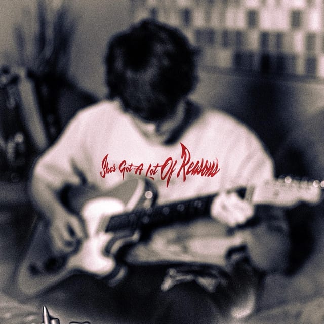 She's Got A Lot Of Reasons - Single