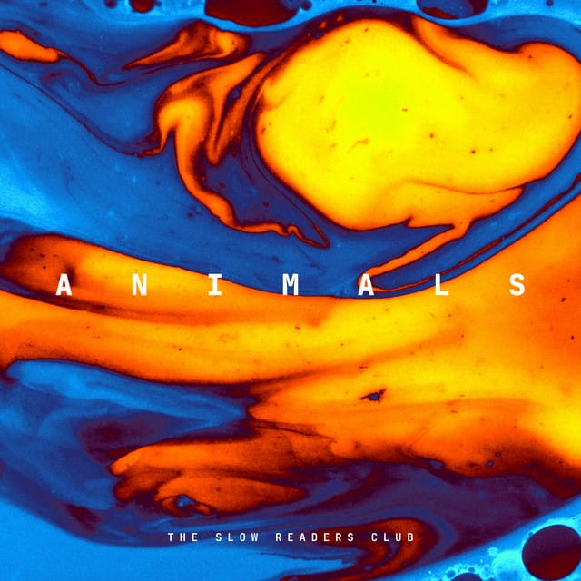 Animals