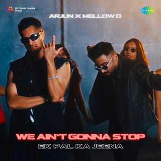 We Ain't Gonna Stop (Ek Pal Ka Jeena)