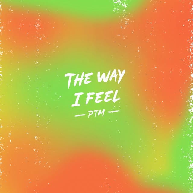 The Way I Feel - Single