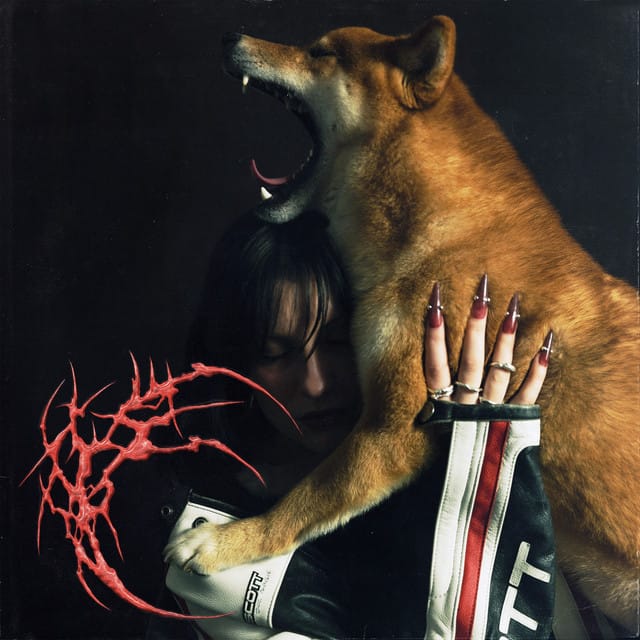 Shiba