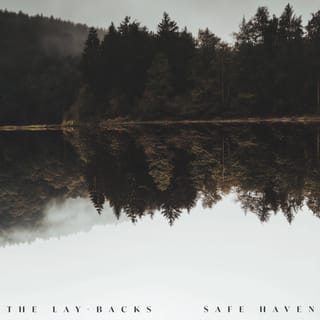 Safe Haven