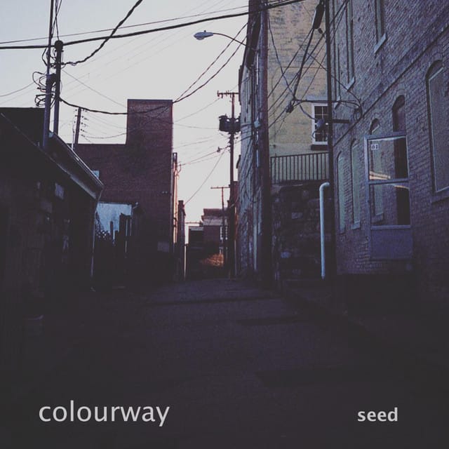 Seed - Single