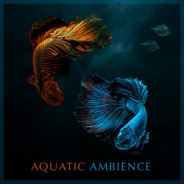 Aquatic Ambience (Donkey Kong Country) - Single