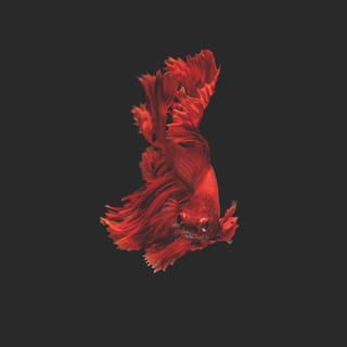 Colorblind (piano version)