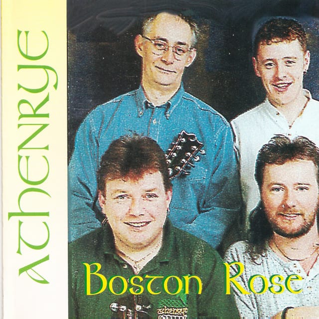 Boston Rose
