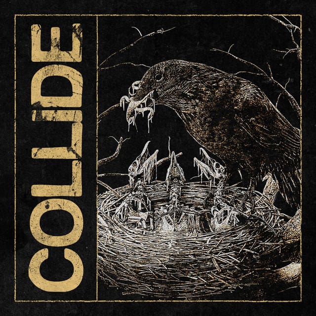 Collide