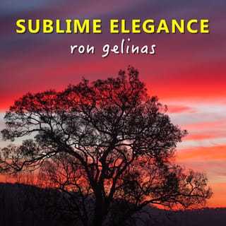Sublime Elegance - EP