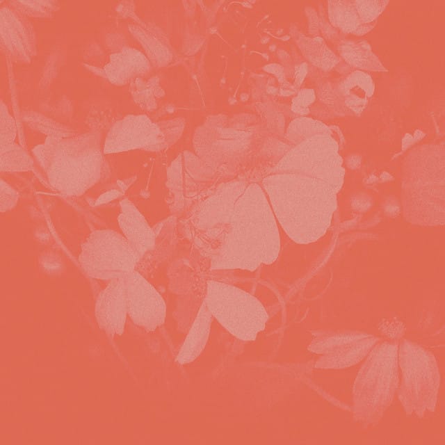 Vacancy - EP
