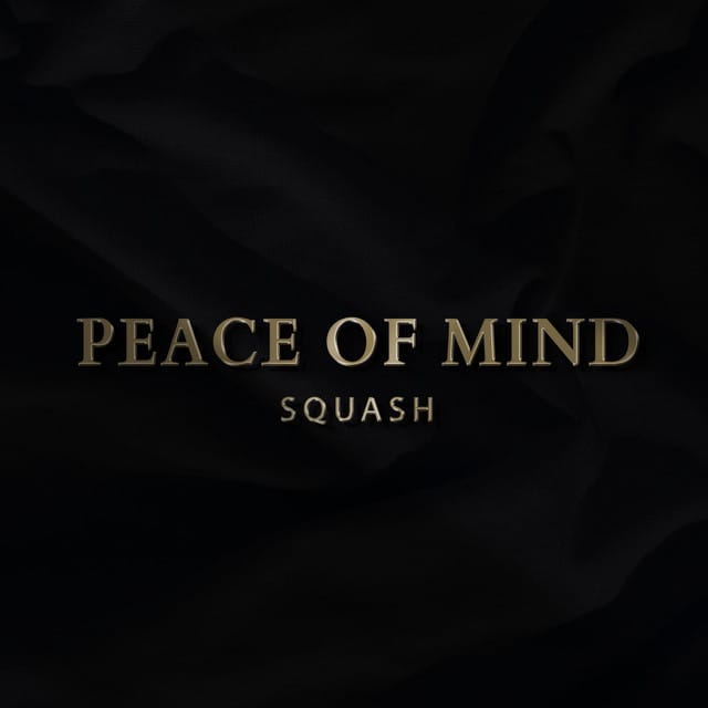 Peace of Mind - Single