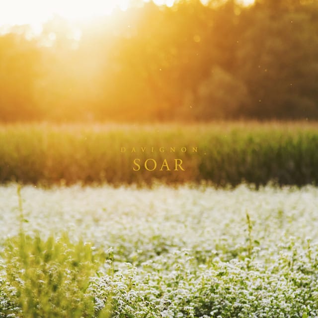 Soar