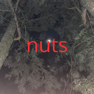 nuts (Instrumental)