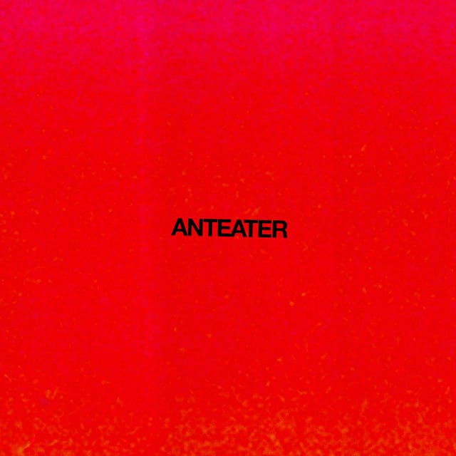 Anteater
