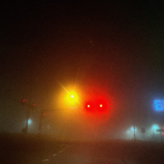 lungs