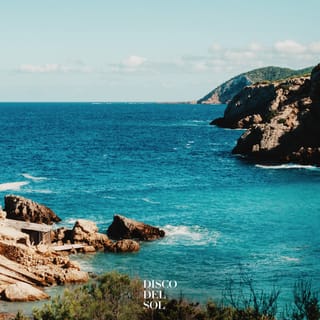 Islavida