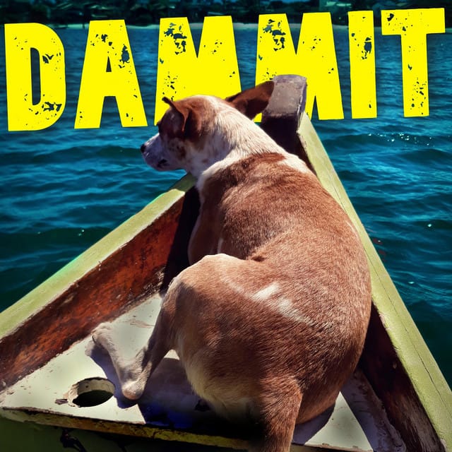 Dammit (Acoustic)