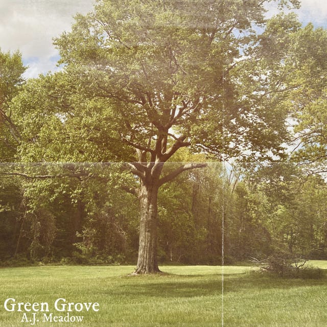 Green Grove - Single