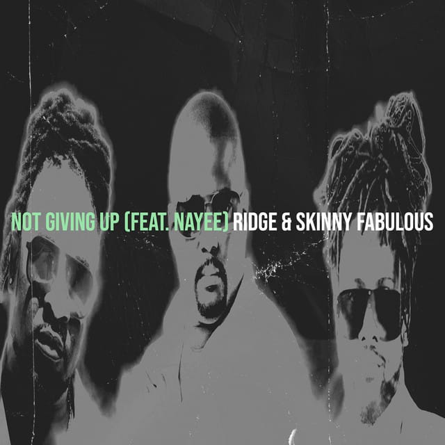 Not Giving Up