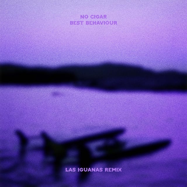 Best Behaviour (Las Iguanas Remix)