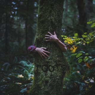 roots - EP
