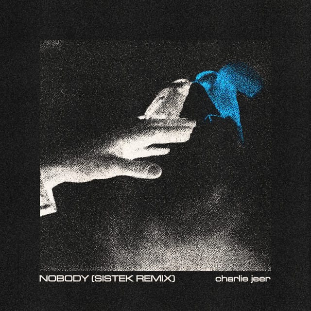 Nobody (Sistek Remix)