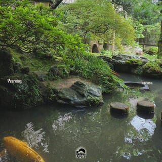 Yearning - Single