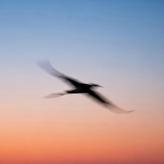 Always in Motion - Single