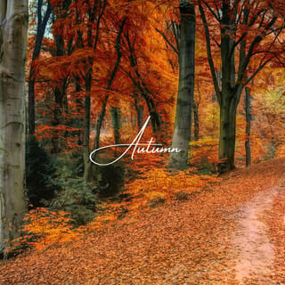 Autumn