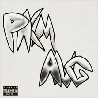 Palm Ang