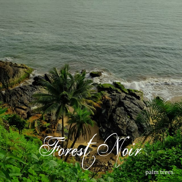 Palm Trees - Single